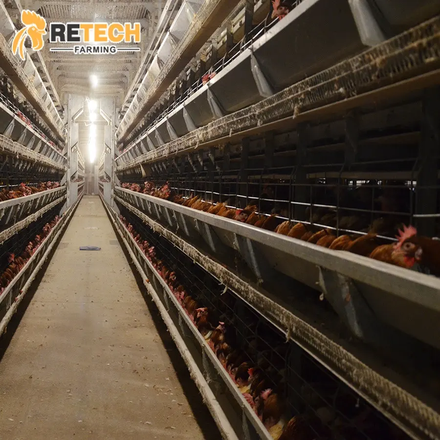Egg Chicken Poultry Farm 3 Tiers 4 Tiers H Type Automatic Battery System Chicken Layer Cage
