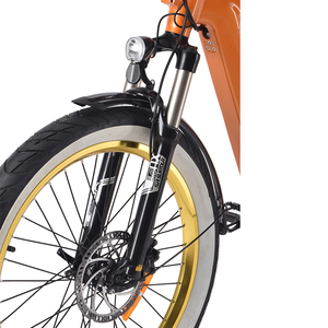 Vélo électrique urbain familial 24x3.0 City E-bike 48V Seat Packtrip Vintage Ebike Packtrip - Product Image 5