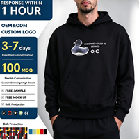 Sweat-shirt à capuche pour homme noir avec motif canard, lettrage sur la poitrine, poche kangourou, cordon de serrage, style streetwear, OEM ODM Vente en gros