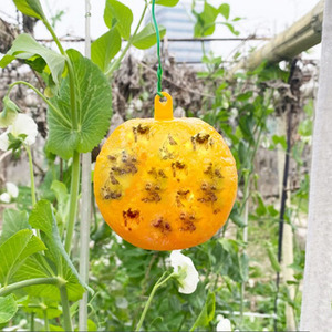 Pièges à mouches à fruits collants en plastique avec adhésif, boules collantes pour <span class=keywords><strong>moucherons</strong></span> et insectes volants, pour attraper <span class=keywords><strong>les</strong></span> mouches des <span class=keywords><strong>plantes</strong></span> - Product Image 6