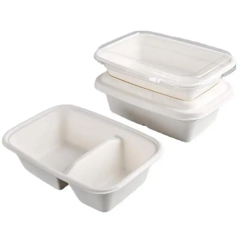 กล่องใส่อาหารกล่องอาหารกลางวันแบบไม่มี BPA รีไซเคิลกล่องใส่เบอร์เกอร์ขนาดต่ำ