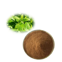 Poudre d'extrait de Melissa Officinalis d'extrait de feuille de mélisse naturelle au meilleur prix