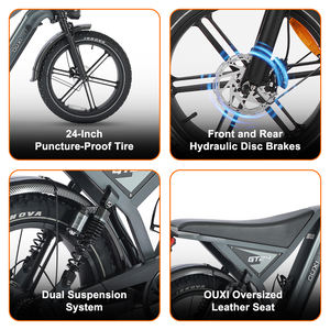 Vélo électrique 24 pouces GT24 Fatbike 250 Watt avec batterie intégrée pour livraison de repas - Entrepôt UE - Product Image 3