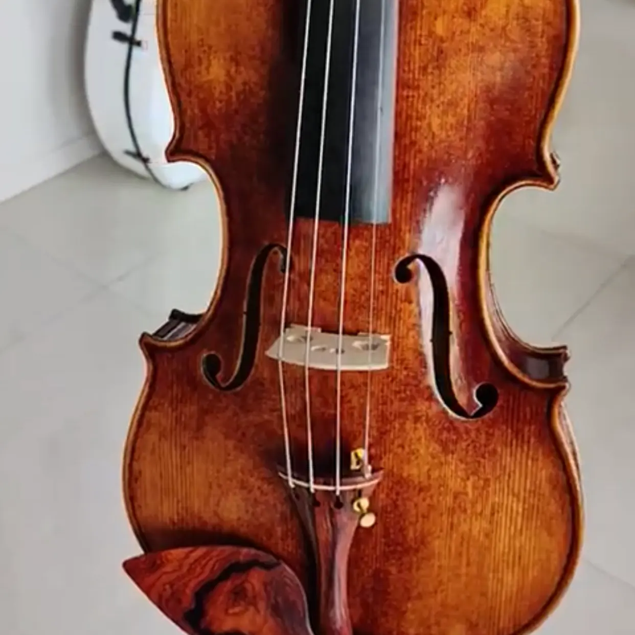 [Violino europeo] qualità di alta precisione molti tipi di violino di alta qualità personalizzato all'ingrosso