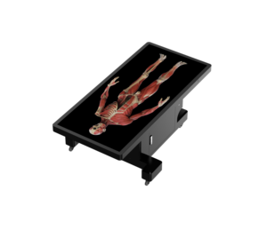 Mesa de Disección Humana Virtual 3D de Alta Resolución, un Dispositivo de Enseñanza de Disección Médica de Nueva Generación, Hecho a Medida - Product Image 2