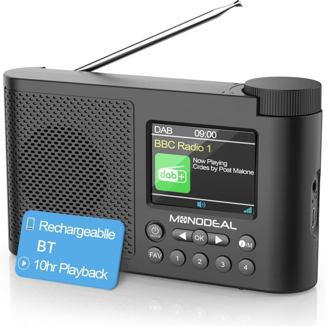 DAB Plus FM BL Color Screen Radio Portable Design Long Battery Life for Home Travel and Outdoor Use