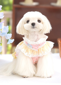 Gonna per Cani Principessa di Alta Qualità, in Fibra di Poliestere, per Tutte le Stagioni, Abbigliamento per Animali Domestici - Product Image 3