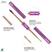 Ensemble de pinceaux professionnels pour nail art à double embout, manche métallique violet, poils en nylon, pour techniciens en gel.