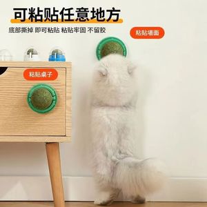 Jouets à mâcher en forme de boules de catnip pour chats, jouet pour animaux de compagnie en plastique durable pour intérieur - Product Image 1