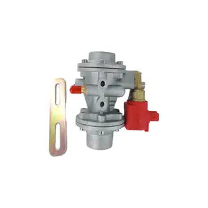 Reductor de presión de gas Natural NGV TR02, reductor de motor CNG, reductor de Gas GLP de baja presión