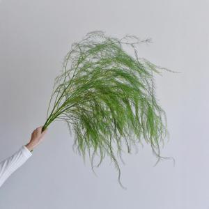 Frais <span class=keywords><strong>Lu</strong></span> <span class=keywords><strong>Xun</strong></span> herbe intérieur aménagement paysager mariage fleur Arrangement Thanksgiving noël nouvel an soie plastique naturel réel toucher - Product Image 2