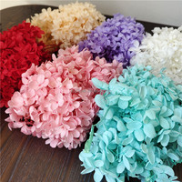 TC, venta al por mayor, flor natural preservada, boda, decoración del hogar, Día de San Valentín, Hortensia eterna de Anna para regalo de novia