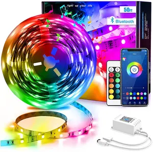 2021 vendita calda decorativo Smart Wifi RGB colore 12V 24V 110V 220V 5050 flessibile morbido impermeabile Neno Led Light Strip