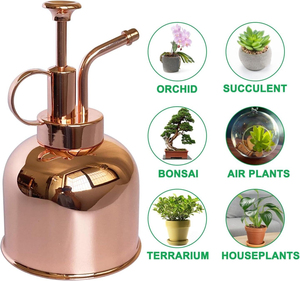 Brice 300ml 10oz Stainless Steel Plant <b>Mister</b> <b>Spray</b> <b>Bottle</b> with Custom Color for Indoor Potted Plants Modern Gardening Tool - Product Image 1