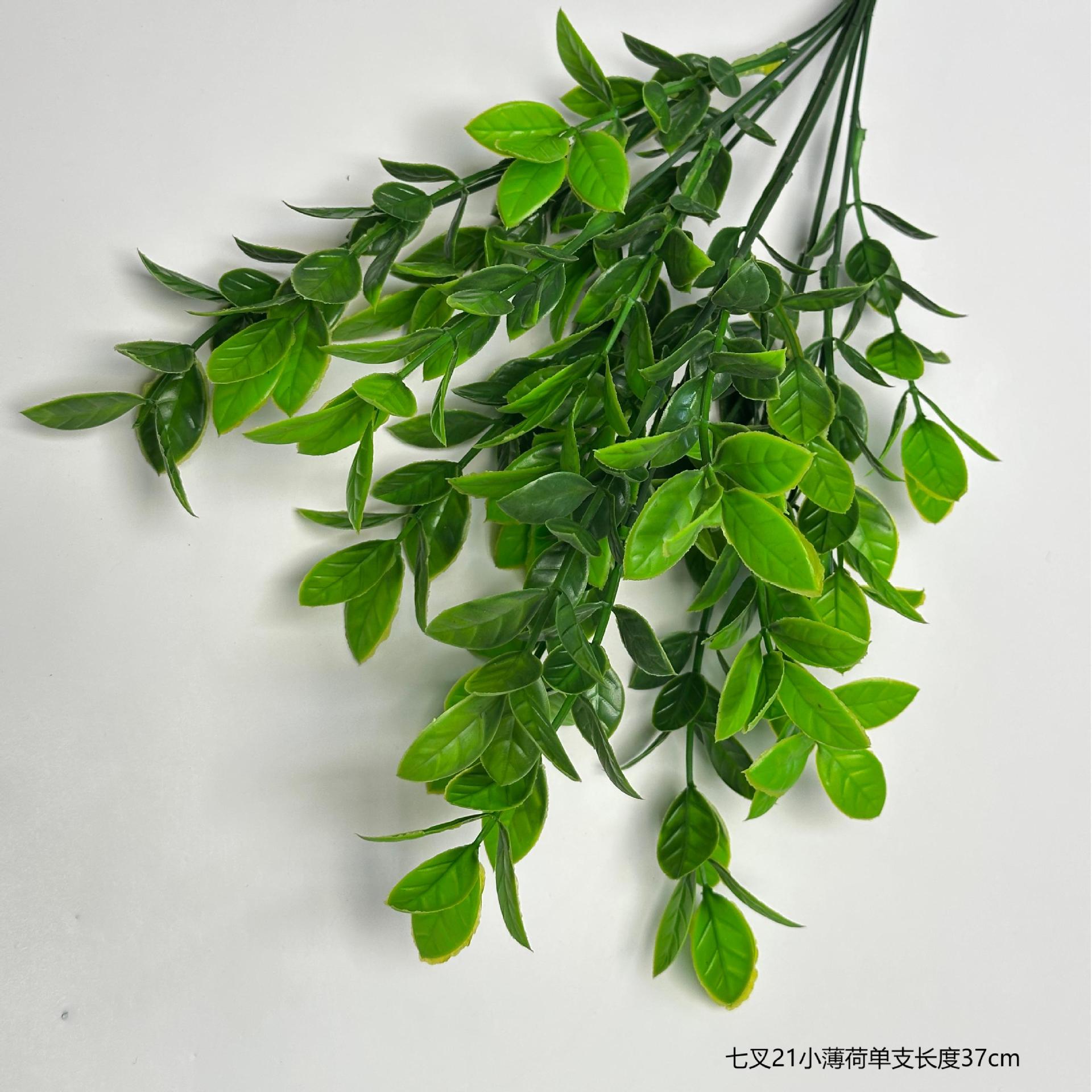 Small mint