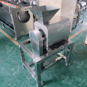 500 KG/H Mangue Pêche Tomate Pulper Seed Remover Batteur Extracteur Finisseur Machine - Product Image 4