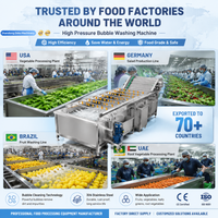 Commerciële automatische belletjeswasmachine voor groenten, fruit, bladgroenten, industriële voedselverwerkingsapparatuur