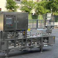 La boîte de classement automatique de tofu de saveur continue la machine à emballer remplissante de cachetage de plateau/tofu faisant la machine
