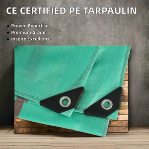 Feuille verte faite sur commande de bâche de PE de polyéthylène pour la <span class=keywords><strong>réparation</strong></span> de tentes - Product Image 6