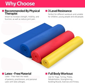 Antrenman için Düz Direnç Bantları, Fizik Tedavi, Esneme, İyileşme, Pilates, Rehabilitasyon, Güç Antrenmanı için Egzersiz Bantları - Product Image 2