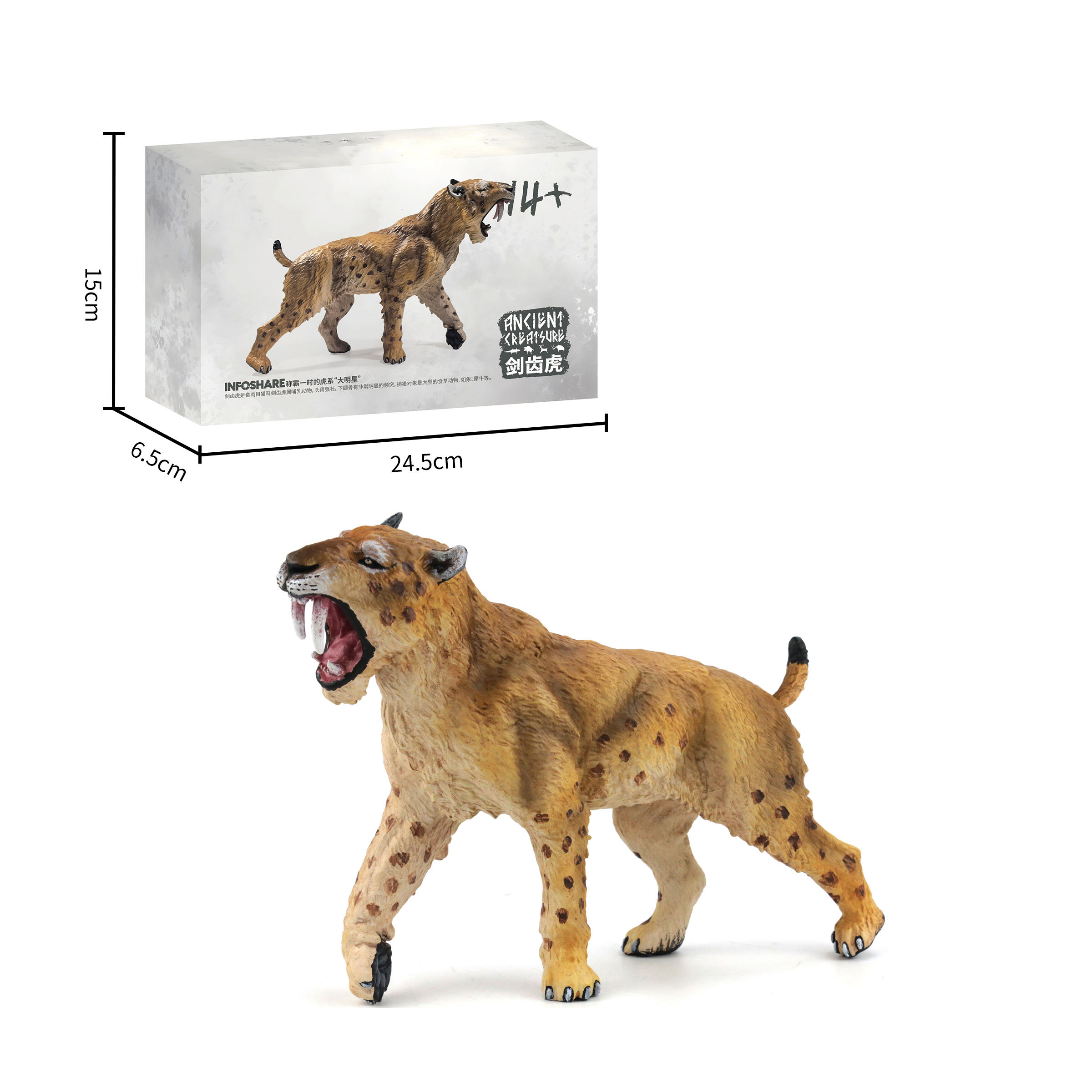 Tigre à dents de sabre