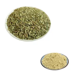 HONGDA Factory Supply Fennel Seeds Extract Powder Fennel Seed Extract