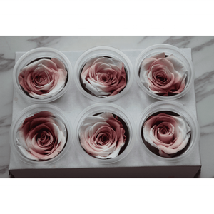 Fornitura diretta in fabbrica di Rose arcobaleno conservate Boutique di grado 5-6cm di Rose fresche belle piante di fiori conservati utilizzo della parete - Product Image 5