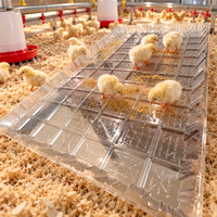 Plateau d'alimentation en plastique pour poussins de ferme avicole, pour la première alimentation des poussins de chair