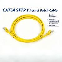 Kabel Patch Jaringan Gigabit Ethernet Tahan Interferensi Tembaga Terlindung Cat 6A untuk Penggunaan Dalam Ruangan