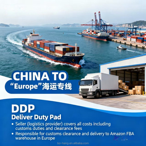 Agente de Transporte Logístico Confiable en China, Agente de Carga Privada DDP Puerta a Puerta, Envío Marítimo de China a México, Estados Unidos, Canadá, Reino Unido, Francia, Australia - Product Image 6