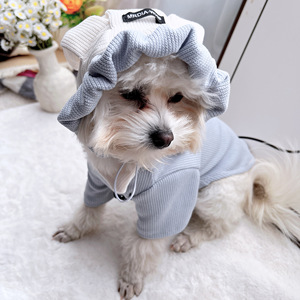 Gilet à capuche bleu lune pour animaux de compagnie, léger, à porter au printemps et en automne, pour petits chiens Teddy Bichon Pomeranian - Product Image 3