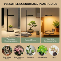 Lampe de table pour plantes de bureau, design moderne noir, s'adapte à tous les intérieurs, avec minuterie et variateur d'intensité, OEM ODM disponible