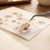 Feuilles d'autocollants en vellum or rose esthétiques personnalisées, thème fleurs séchées et calligraphie, OEM pour les marques de journalisation
