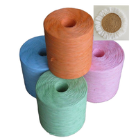Grand rouleau de papier corde de Raphia 5mm 6mm 7mm bricolage papier tressé cordes de Raphia pour sac/chapeau/panier de Crochet