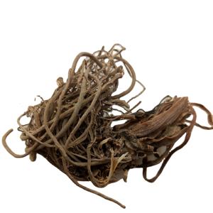 Raíz de Valeriana natural seca de Valeriana officinalis L <span class=keywords><strong>para</strong></span> ayudar a <span class=keywords><strong>dormir</strong></span> - Product Image 1