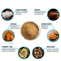 Mélange de superaliments en poudre de 6 extraits de champignons de qualité alimentaire, double extraction, Crinière de lion, Reishi, Cordyceps, Chaga, Queue de dinde, en flacon tambour