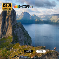 Projecteur vidéo professionnel 1080P HD noir Android 13 pour extérieur avec caméra intégrée et haut-parleur 4Ω5W*1