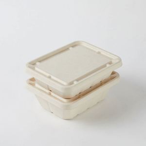 Contenedor de Alimentos Desechable Biodegradable de Pulpa de Caña de Azúcar, Lonchera para Llevar con Tapa Blanca, Tamaños 9''/10''/12'' - Product Image 4