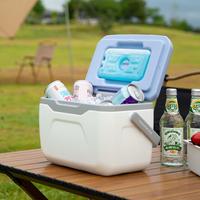 Glacière portable OEM/ODM 5,5 L, mini-réfrigérateur/chauffe-plat, étanche, qualité alimentaire, pour lait maternel, camping, pêche, voyage