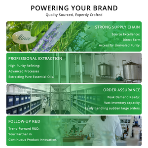 Muestra gratuita a granel de aceite esencial de eucalipto etiqueta privada personalizada aceite de eucalipto orgánico Natural puro para hacer detergente - Product Image 5