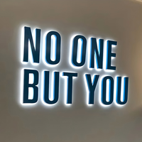 Enseigne personnalisée en lettres lumineuses Halo en acier inoxydable rétroéclairées en acrylique LED pour salon de beauté, boutique