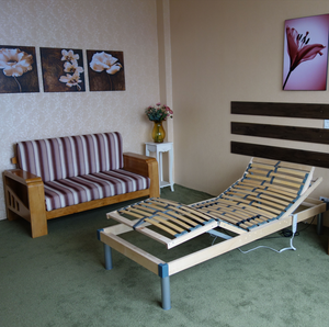 <span class=keywords><strong>Cama</strong></span> eléctrica doble de estilo europeo, <span class=keywords><strong>cama</strong></span> de movimiento individual XL Queen, color azul abedul, listón ajustable, marco de <span class=keywords><strong>cama</strong></span> con cable - Product Image 4