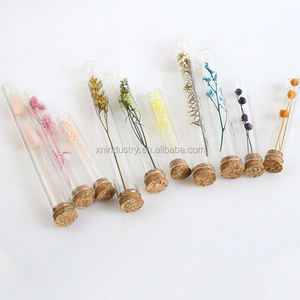 Flores Secas Naturales Delicadas Personalizadas en Tubo, Decoración Novedosa para el Hogar, Regalos para Halloween, Día de la Madre, Bodas, Invitados - Product Image 1