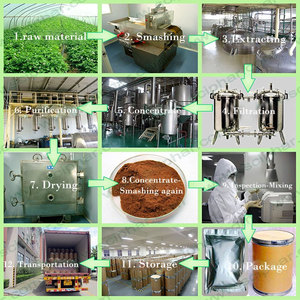 인기 상품 최저가 유기농 미타케 버섯 추출물 분말 10% ~ 50% 다당류 비타민 C 고함량 - Product Image 6