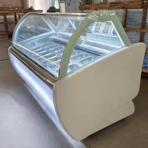Congelador do gelado da qualidade do preço econômico exibe o congelador com 12 panelas