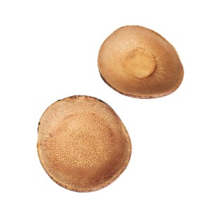 Handmade Bamboo Root Coasters Natural Bamboo Material Size 6-9 Cm For Tea Ceremony Accessories - Product Image 5