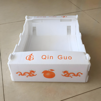 Fabricant poly PP ondulé tomate fraîche raisin emballage en plastique fruits stockage empilable expédition boîte de circulation