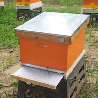 Nuevo Tablero Inferior con Rejilla Langstroth de 10 Marcos con Bandeja para Apicultura, Ayuda a Monitorear los Niveles de Varroa, Aumenta la Ventilación