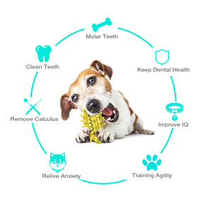 Solid Color Tpr Chewing <b>Toy</b> for Dogs Teeth Cleaning <b>Interactive</b> Squeaky Pet <b>Toy</b> Yellow and Green Design - Product Image 5