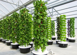 Invernaderos agrícolas grandes Lyine Sistema de torre de aeroponía de agricultura <span class=keywords><strong>vertical</strong></span> Torre de cultivo hidropónico Jardín - Product Image 5